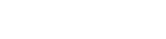 SnowFlake partner logo